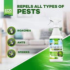 Eco Defense Biobased Pest Control Spray - Ant, Roach, Spider, Bug Killer and Repellent - Natural Indoor & Outdoor Bug Spray - Child & Pet Friendly (1 Gallon)