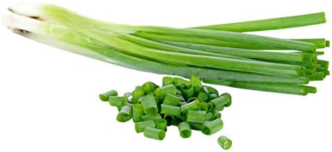 Evergreen White Bunching Onion - Hardy and Will OverWinter