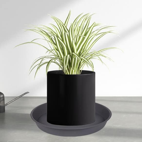 6 Pack Planter Saucer Tray Gray, 4 6 8 10 12 13 15 17 19 inch Pot Saucers, Heavy Duty Plastic Plant Saucers for Indoors, Plant Drip Tray, Plant Trays for pots Planter (6 inch, Cement)