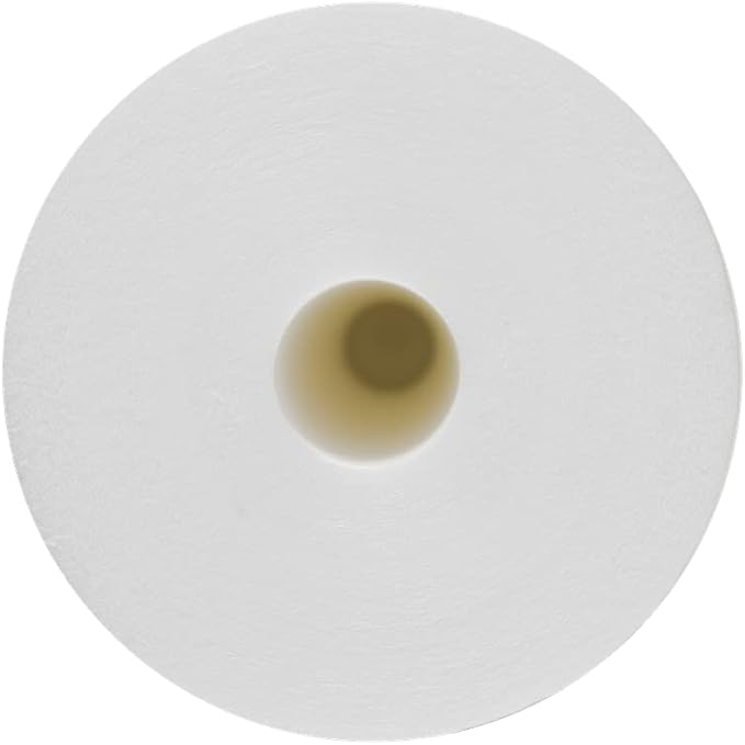 BLUONICS Sediment Replacement Water Filters Ten (5 Micron) 4.5" x 20" Whole House Cartridges
