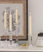 Root Candles 12-Count Unscented Dinner Candles Dripless Beeswax Enhanced Timberline™ Arista™ Boxed Candle Set, 9-Inch, Ivory