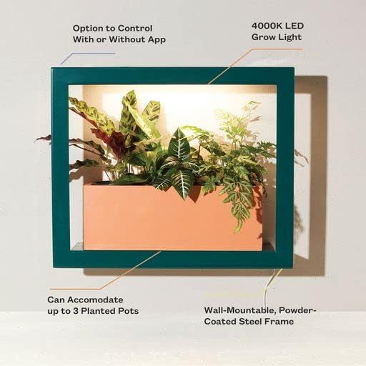 Modern Sprout Smart Growframe Wall Mounted LED Grow Light with Shelf - Emerald