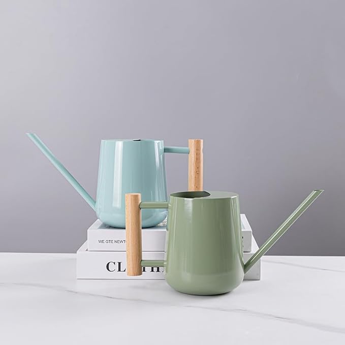 Watering Can Indoor Plants, 30oz/900ml Small Plant Watering Can with Long Spout, Stainless Steel Garden Watering Cans Outdoor Watering Pot for Indoor House Plants Bonsai Flower Decorative
