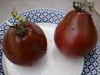 Seeds Black Truffle Tomato Japanese Determinate Non GMO Vegetable for Planting