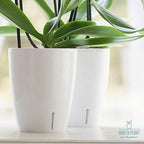 Santino 5.9 Inch ORCHIDEA Self Watering Pots for Orchids in Violet (Set of 3) - Decorative Wicking Planter with w/Great Aerification, Drainage and Water Level Indicator