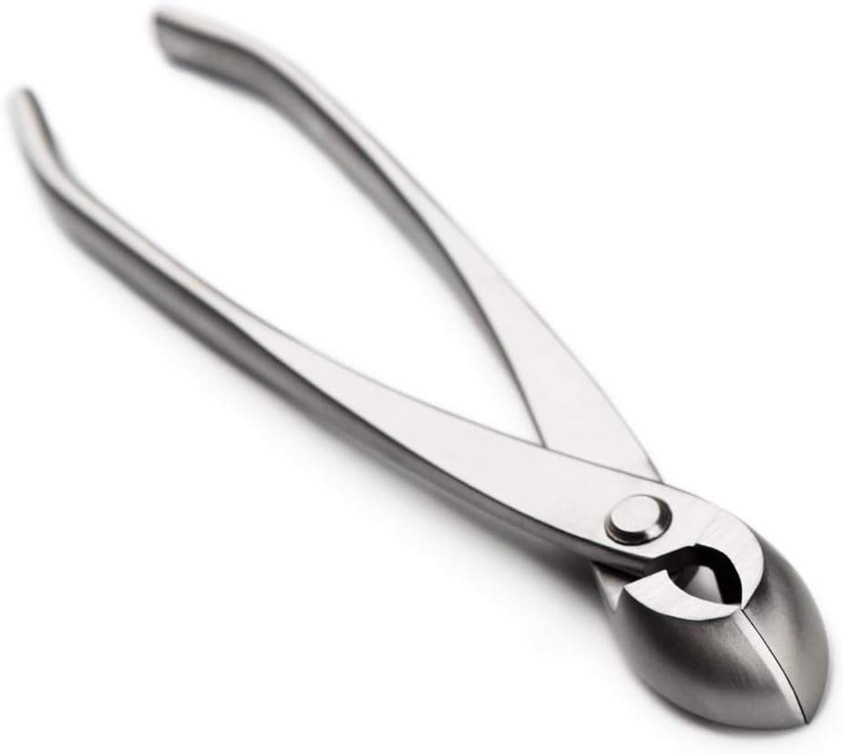 tianbonsai Bonsai Tools 205 Mm Round Edge Cutter Multifunctional Bonsai Cutter With Both Straight Edge And Round Edge