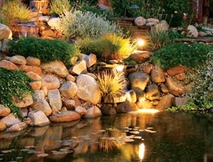 The Pond Guy LEDPro 6 Watt 3 Pack Light Kit