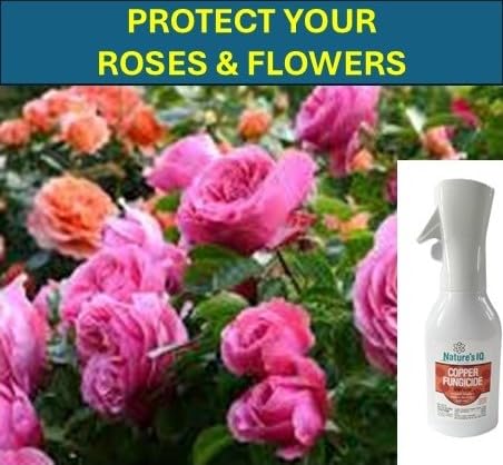 Nature's IQ Copper Fungicide. Innovative Spray Mist Technology. Controls powdery Mildew, Black spot, and Rust! for use on Roses, Flowers, ornamentals, Fruits and Vegetables. Ready-to-use 20 oz.