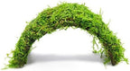 SubstrateSource Live Planted Decor - Christmas Moss (Vesicularia montagnei) on Coconut Shell Bridge - Low Light, Green Freshwater Aquatic Plant, Foreground Aquarium Placement for Aquascaping - 1 Pack