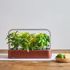 EDN SmallGarden with Basil SeedPods, Indoor Grow Smart Garden for iOS Devices - Fresh Home Grown Herbs, Plants and Flowers - Grow up to 10 Different Plants at Once