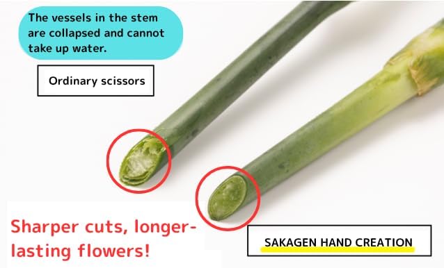 Japanese Florist Scissors – Professional Ultra Sharp Flower Shears Made in JAPAN for Ikebana Floral Design & Gardening SAKAGEN HAND CREATION F-170 (Blue)