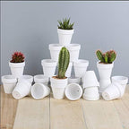 FCFKUK 24pcs Small Mini Clay Pots, 2.5'' Terracotta Pot Clay Ceramic Pottery Planter, Cactus Flower Terra Cotta Pots, Succulents Nursery Pots, with Drainage Hole, for Indoor/Outdoor