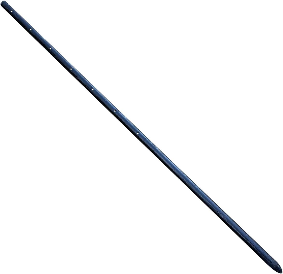 Sandbaggy Round Steel Concrete Form Stakes with Nail Holes - Rust Resistant Coating - Removable, Reusable (10, 3/4 in X 36 in)