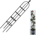 GardenPal Rustproof Metal Pipe Garden Obelisk Trellis, Tomato Cage and Plant Support for Climbing Plants, Potted Tall Plant Stakes for Vine Vegetable Flower Outdoor Indoor (Black, Φ31.7cm-H175cm)