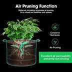 VIVOSUN 3-Pack 10 Gallon Visible Potato Grow Bags, 320G Thick Nonwoven Fabric Pots with Strap Handles, Shade Cloth & 10 Pcs Plant Labels for Flowers, Vegetables
