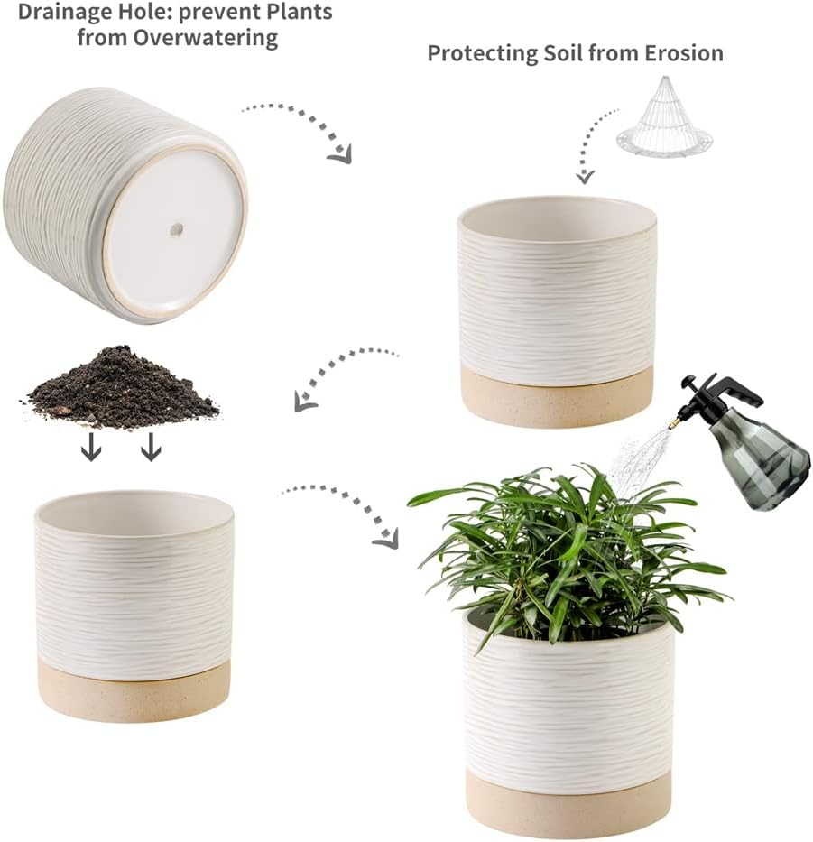 Nihow Ceramic Plant Pot: 6 Inch Planter with Drainage Hole & Saucer for Indoor & Outdoor Plants - Cylinder Round Flower Pot for Succulent/Herbs/Violets - Cream White & Brown