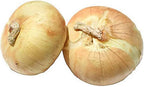 Walla Walla Onion Seeds - 100 Seeds