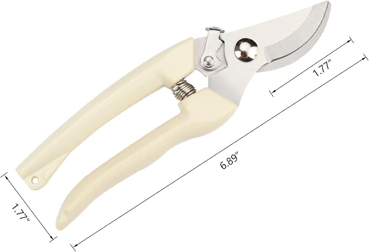 Garden Scissors for Plant, Tip Pruning Shears for Cutting Flowers, Trimming Plants, Bonsai and Fruits Picking (2 PC Bypass Blade Pruner)