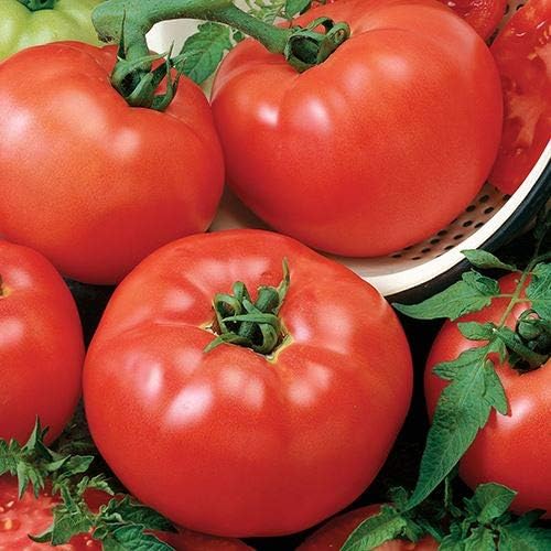 Park Seed Variety of Tomato Seeds, Planting Vegetables, Easy to Grow, Non-GMO, Perfect for Harvesting, Chef's Choice Red Hybrid, Pack of 30