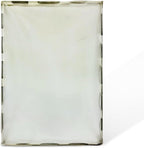 Dexter Lint Screen Replacement – Durable Frameless Dryer Lint Filters for Commercial & Residential Use (9555-057-003) - 17.75" X 29.5" (Pack of 1)