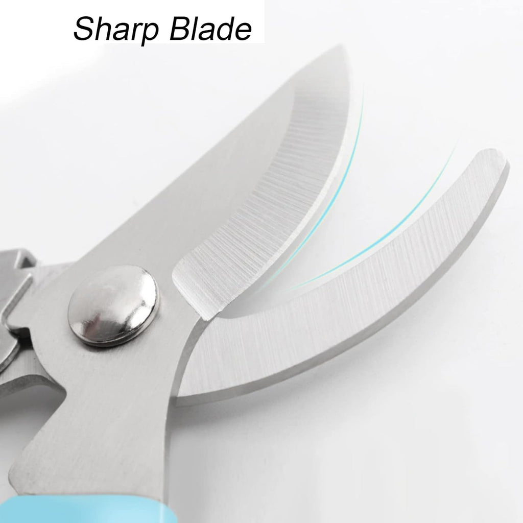 Curve Gardening Scissor with Sharp Stainless Steel Blade Garden Shears for Cutting Flowers Trimming Plants of Yard Florist Flower Rose Herb Hedge Bonsai and Fruits Picking (Green Handle)