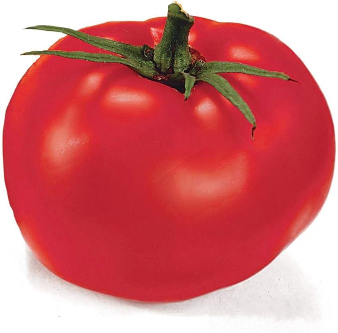 Park Seed Variety of Tomato Seeds, Planting Vegetables, Easy to Grow, Non-GMO, Perfect for Harvesting, Better Boy Hybrid, Pack of 30