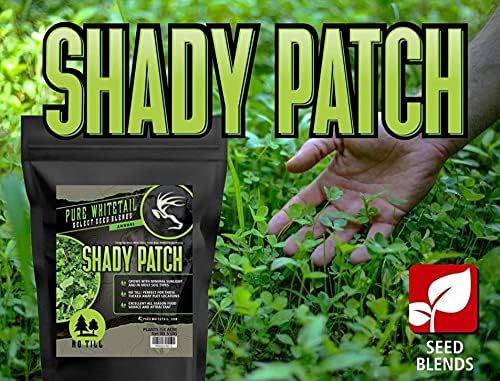 Shady Patch | All Year Deer Feeder | No Plow Food Plot Seed for Deer | Deer Food Plot Seed | White Clover Winfred Forage Brassica Rye Grass Rape Seeds | Plants 1/4 Acre | 5 lb Bag
