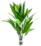 SubstrateSource Live Plants – Nomaphila Stricta – Moderate to High Light, Green, Midground to Background Accent – Lead Bunch, 4 Pack