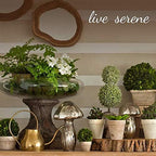 Serene Spaces Living Clear Optical Glass Votive Holder, Perfect for Weddings and Home Décor, Measures 5" Tall and 3.5" Diameter, Set of 12