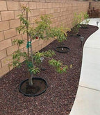 6 Pack of 24 in Planting Rings. Edging and Water Retention. Protects Trees and Separates Rock, Mulch and Grass
