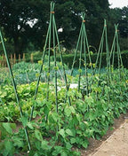 4ft Plant Stakes 50pack, 5/16 Inch Dia Garden Stakes, 48inch Garden Poles Tree Stake, Cucumber Potato Stake Fence Stake Never Rust