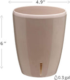 Santino 4.9 Inch ORCHIDEA Self Watering Pots for Orchids in Sand - Decorative Wicking Planter with w/Great Aerification, Drainage and Water Level Indicator