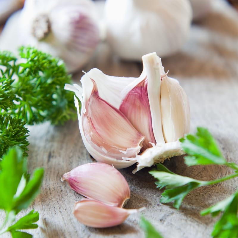 1 Pound Garlic for Planting in Fall Hardneck, 8-10 White Garlic Bulbs for Planting, Fresh and High Yield Bulb Variety Pack, Hardy and Fast Growing