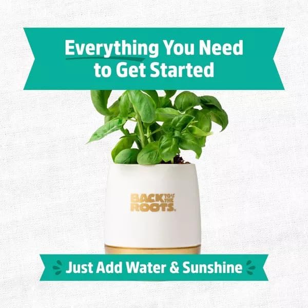 Wellness Grow Kit: Basil