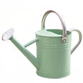 yourjoy Metal Watering Can 1 Gallon for Outdoor Garden Plants, CGreen