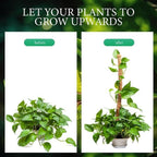 2 Pack Moss Pole for Plants (Moss Pole 48")