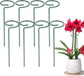 4/8/12 Pack Plant Stakes, 16/24/36 Inch Plant Support Stakes, 2025 New Plant Sticks Support, Flower Stakes for Plants Peony, Tomato Seedling, Marigold, Amaryllis, Sapling, Coreopsis (24 Inch-8 Pack)