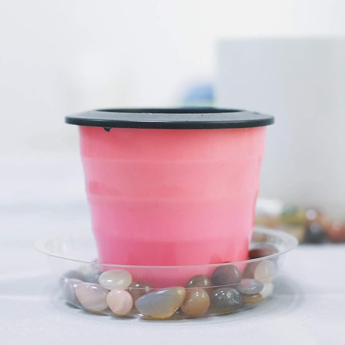 TRUEDAYS 8 Inch 5 Pack Clear Plant Saucers Flower Pot Tray Excellent for Indoor & Outdoor Plants