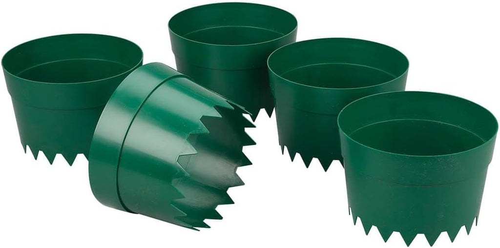 Protective Plant Rings, Set of 5