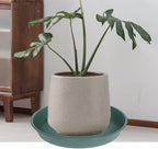 3 Pack of 20 22 inch Plant Saucer (19.2 Inch Base), 3.6" Depth Tray, Large Deep Garden Plastic Flower Planter Plant Trays for Indoors Outdoor Bath Bath (22", Green)