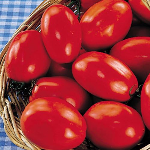 Park Seed Variety of Tomato Seeds, Planting Vegetables, Easy to Grow, Non-GMO, Perfect for Harvesting, San Marzano Organic, Pack of 30