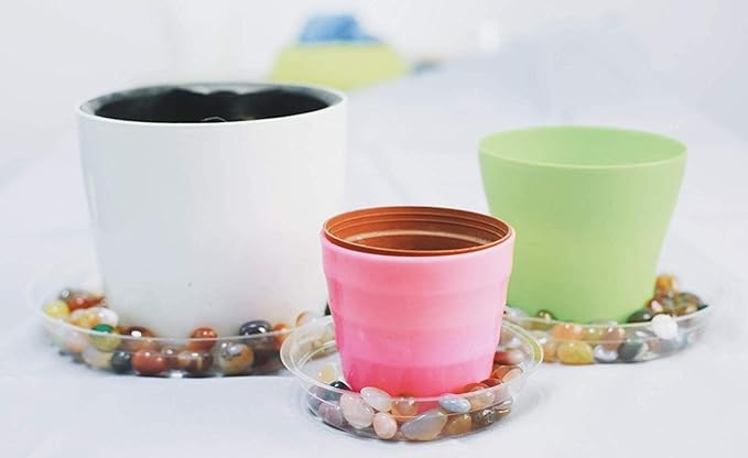 TRUEDAYS 8 Inch 5 Pack Clear Plant Saucers Flower Pot Tray Excellent for Indoor & Outdoor Plants