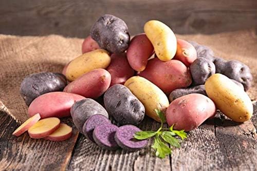 Simply Seed - 10 Piece - Fingerling Potato Seed Mix - Non GMO - American Raised - Ready for Planting