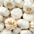 1 Pound Garlic for Planting in Fall Hard Neck, 8-10 White Garlic Bulbs for Planting, Fresh and High Yield Bulb Variety Pack, Hardy and Fast Growing