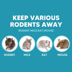 Rodent Repellent, Mouse Repellent, Mice Repellant Indoor, Rat Deterrent, Keep Mice Out of Garage/Car/Shed/Cabin, Peppermint Balls for Outdoor Use, Safe and Easy-4Pcs
