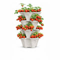 Vertical Garden Planter 4 Tier Stackable System 16 Plants, Space Saving Herb, Strawberry & Food Crop Planter with Center Support Hole for Indoor Outdoor Gardening (4, Stone, Small)