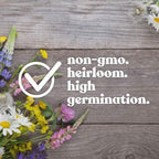 Wildflower Seed Bulk, 3 Oz. (80,000+ Seeds) – 19 Non-GMO Flower Seeds for Shade, Annual & Perennial Wild Flowers Mix for Partial Shade – Shade Tolerant by Mountain Valley Seed
