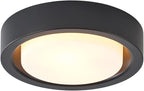 13 Inch Flush Mount Ceiling Light,Black Finish Plate with Frosted Glass Shade,Round Ceiling Lighting Fixture for Hallway Bedroom Closet Livingroom Kitchen Stairwell (Black)