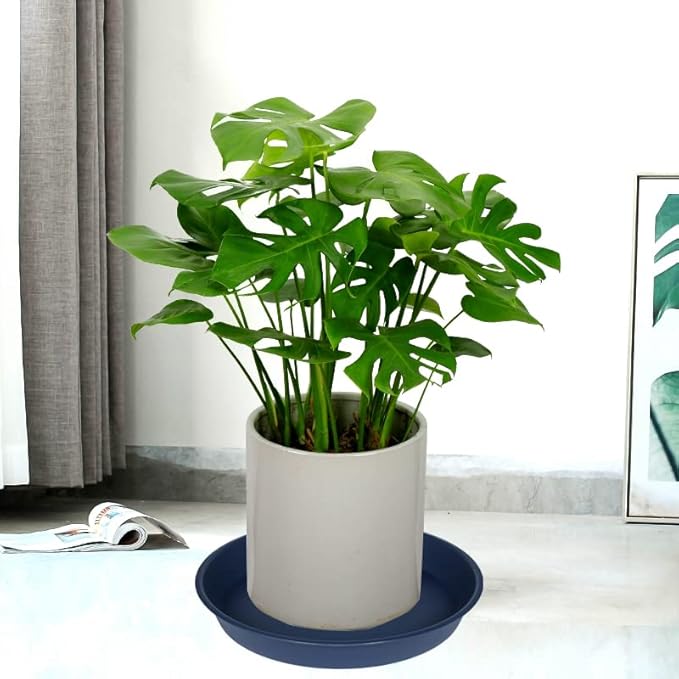3 Pack of 20 22 inch Plant Saucer (19.2 Inch Base), 3.6" Depth Tray, Large Deep Garden Plastic Flower Planter Plant Trays for Indoors Outdoor Bath Bath (22", Blue)