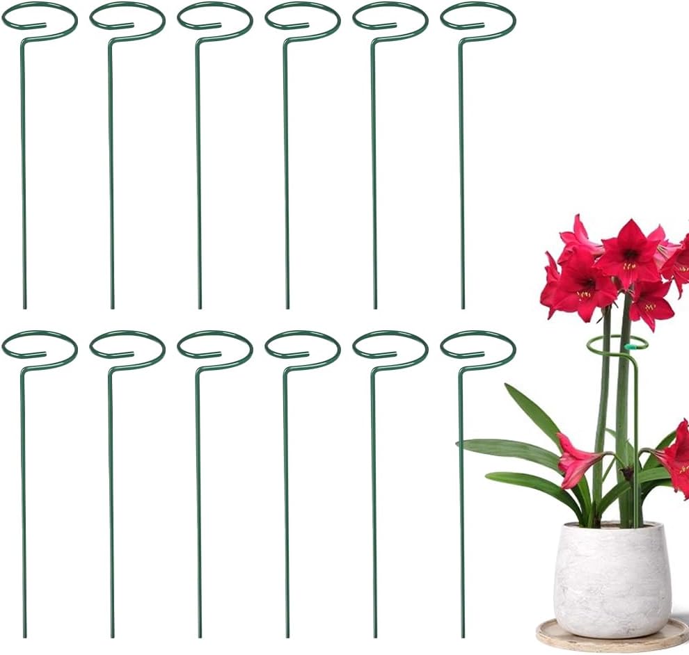 4/8/12 Pack Plant Stakes, 16/24/36 Inch Plant Support Stakes, 2025 New Plant Sticks Support, Flower Stakes for Plants Peony, Tomato Seedling, Marigold, Amaryllis, Sapling, Coreopsis (24 Inch-12 Pack)